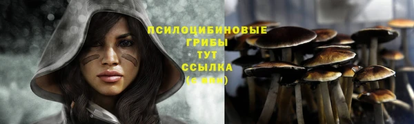 прущие крисы Медногорск