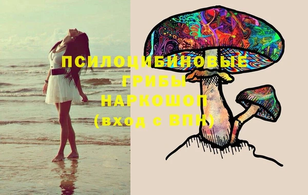 соль ск Мегион