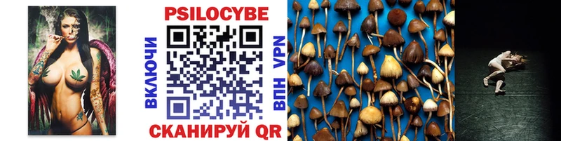 kraken Чадан Псилоцибиновые грибы Psilocybe